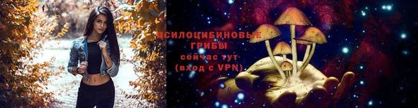 хмурый Заволжск