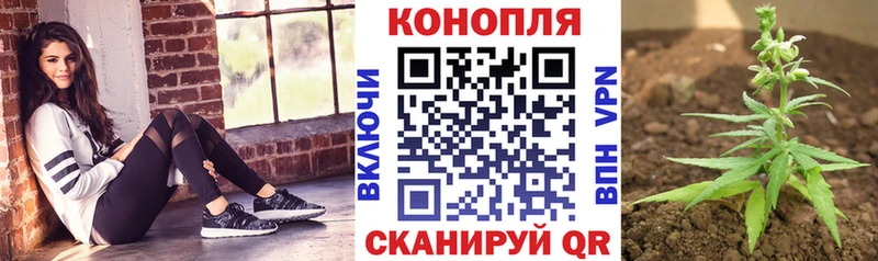 Канабис VHQ  Купить закладки  Карабаново 